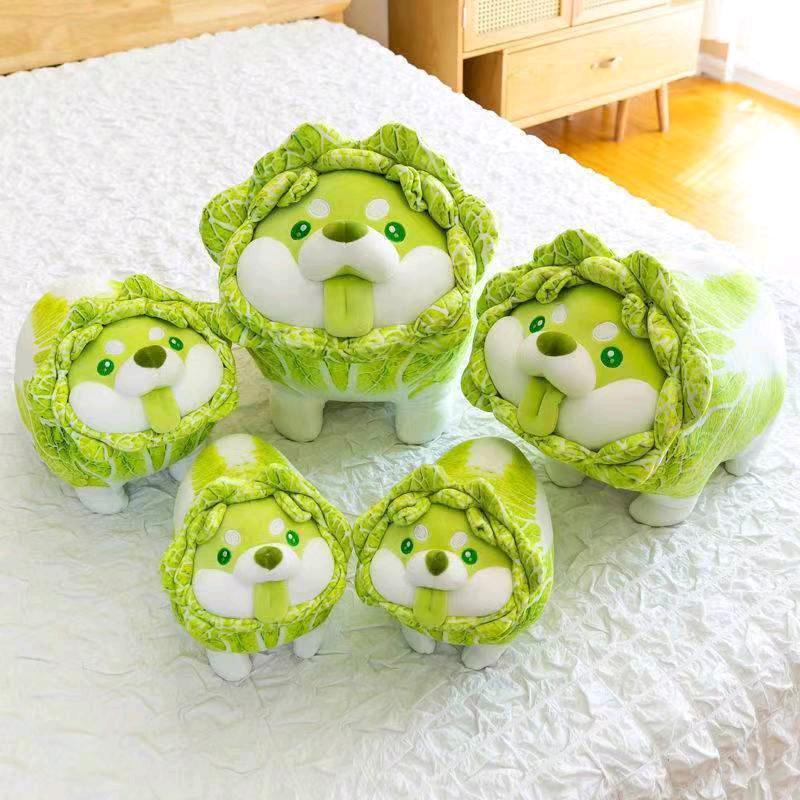 你不是姐的菜