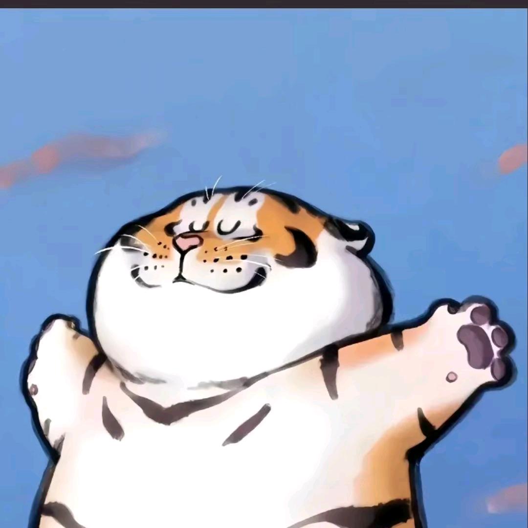 后视镜
