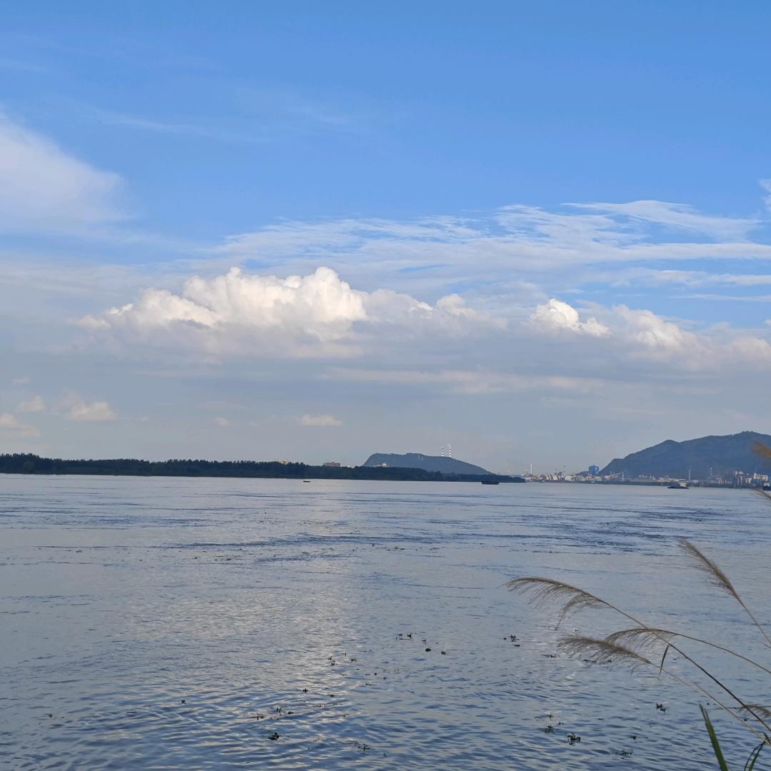 小照