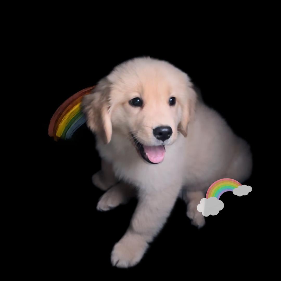 麦浪的美好生活💰