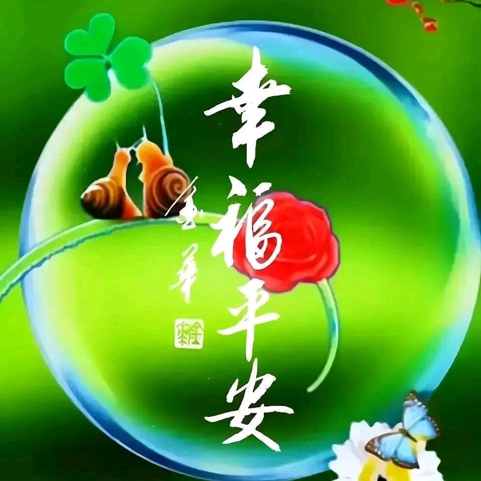 一生无悔