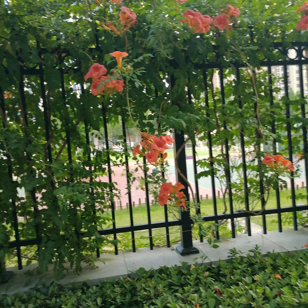 花姐....好物推荐