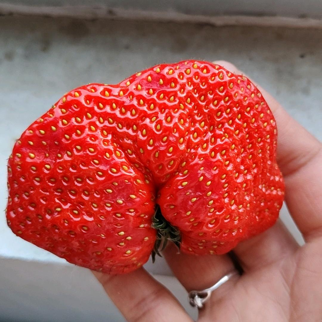 妹儿