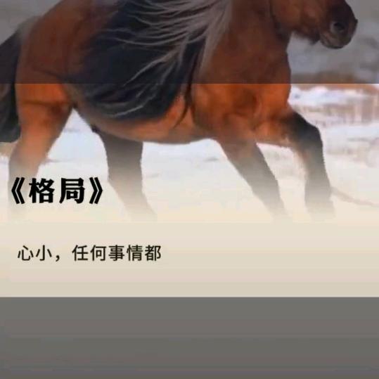 众星捧月
