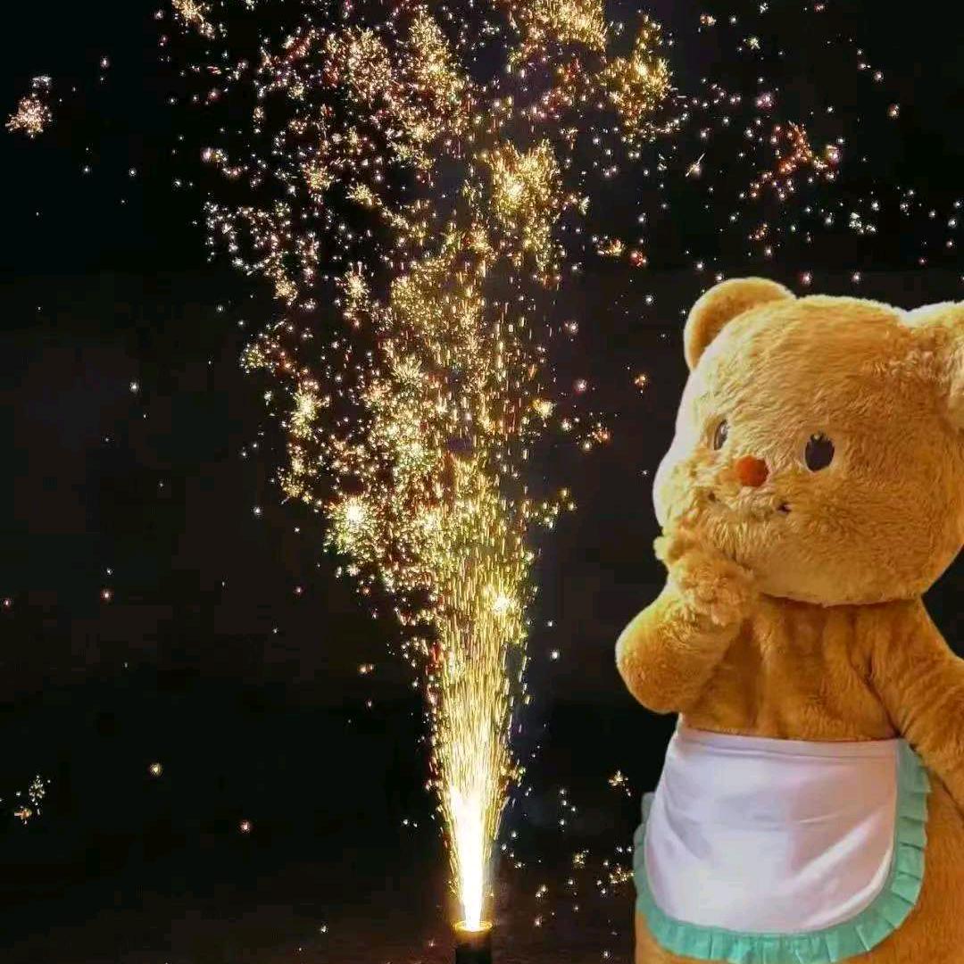 放烟花的小熊🐻