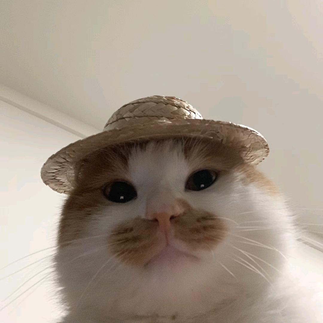 孤独的根号三