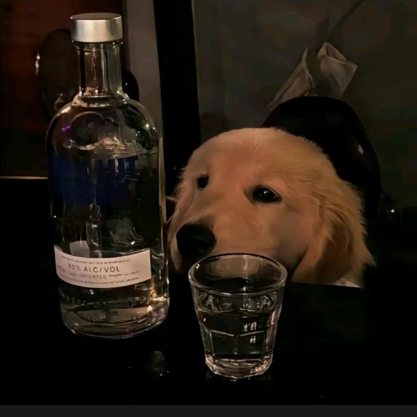 她和卡莎一样迷人.