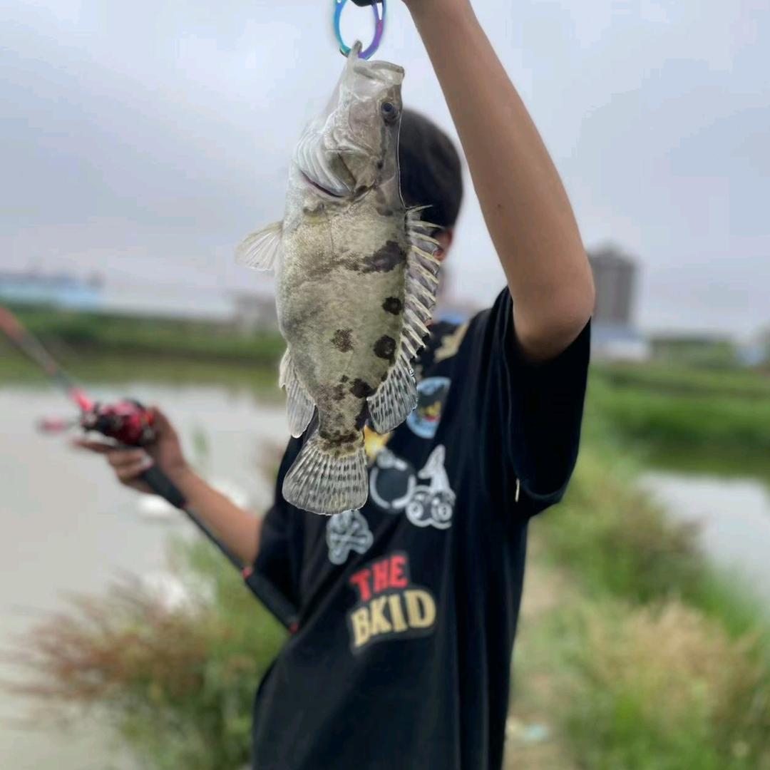 小辉爱钓鱼