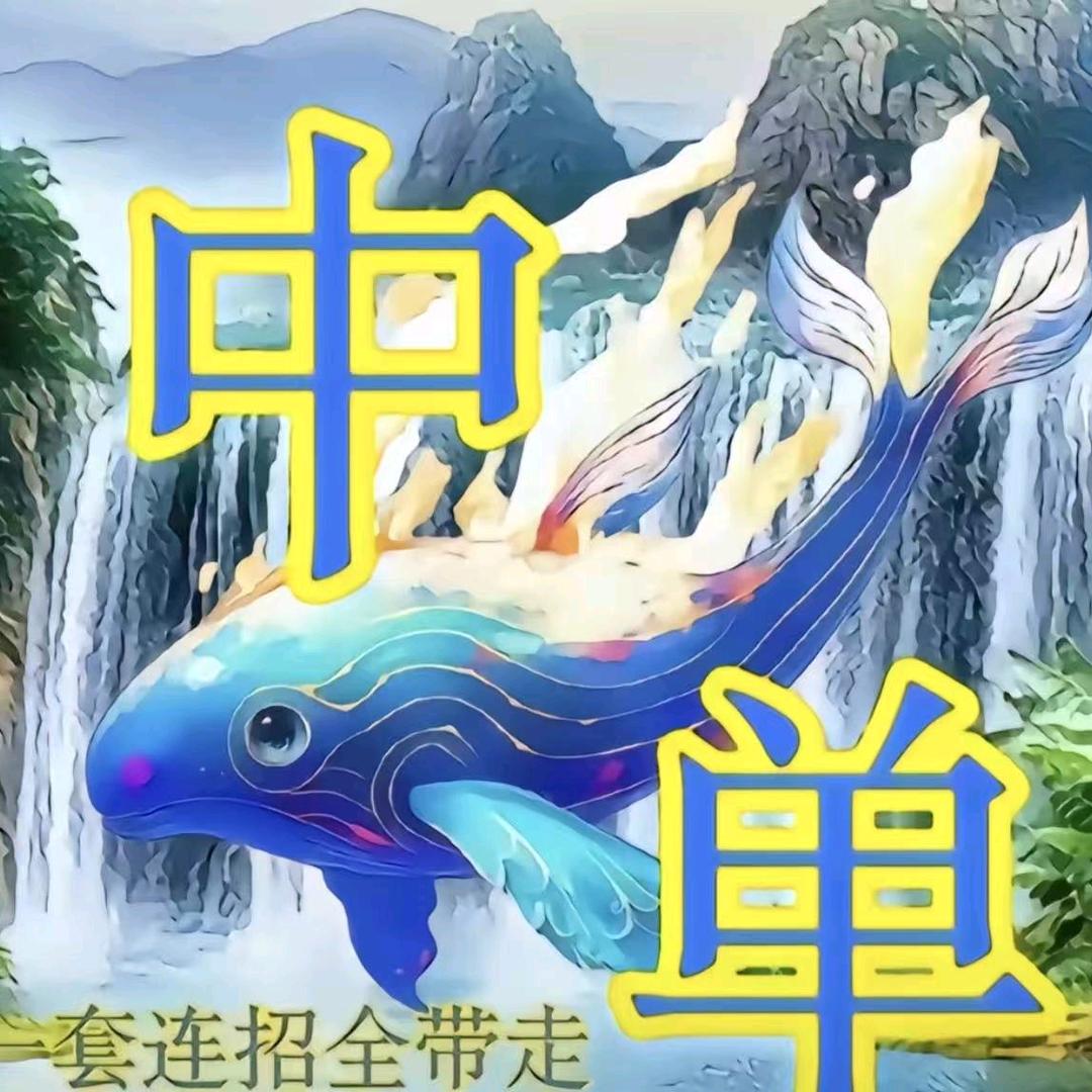 王者荣耀我打s你
