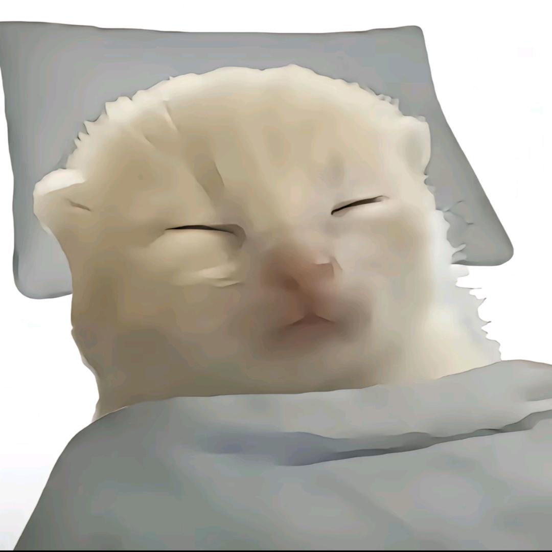 全世界都在孤立我