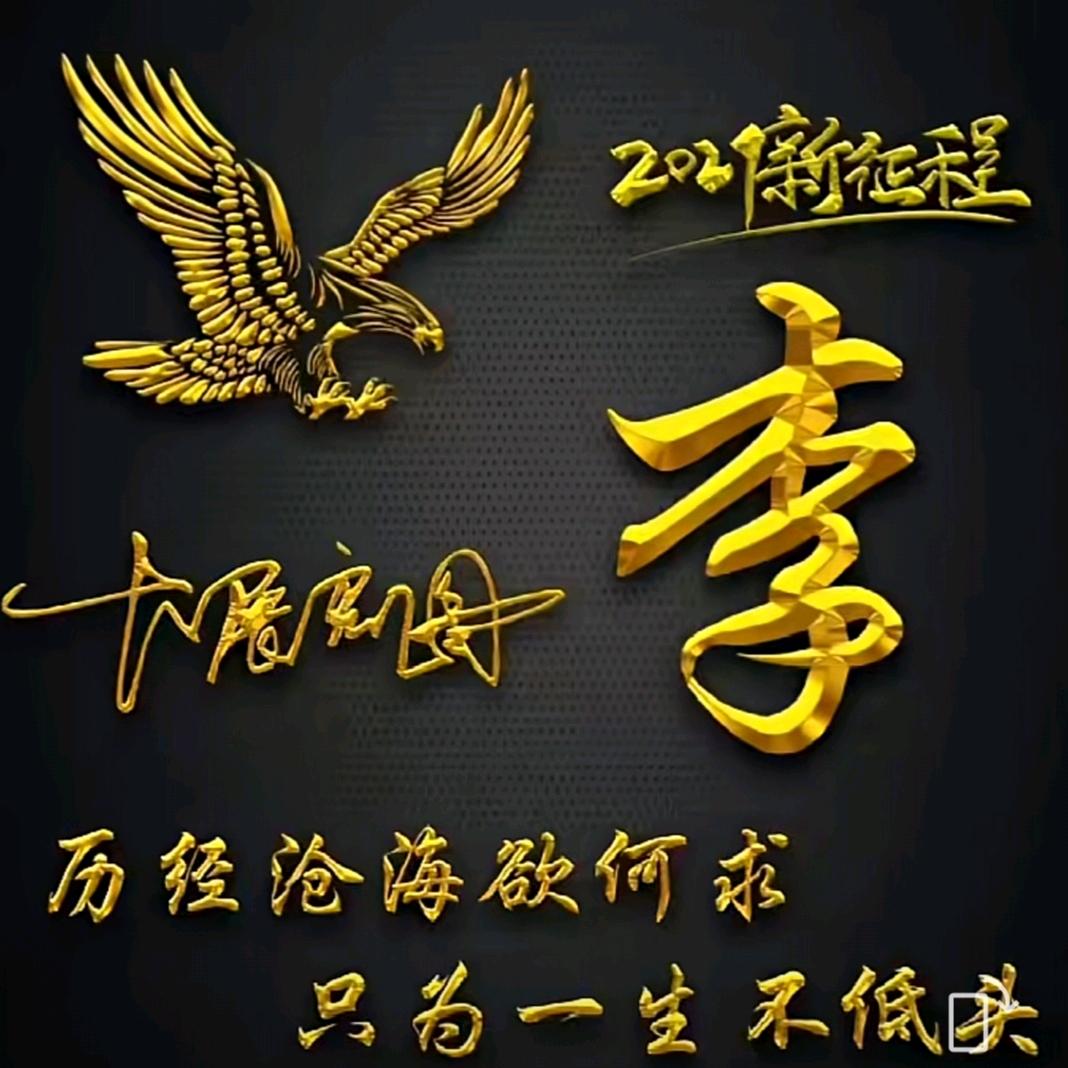 @随梦而飞