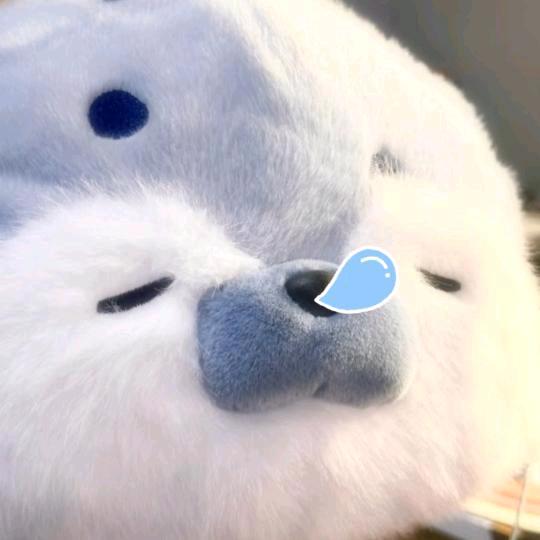 小智