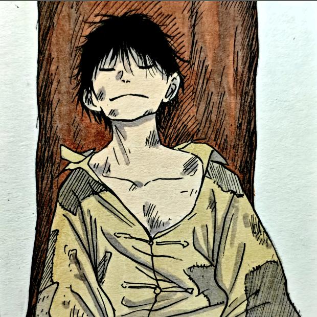 紫苏