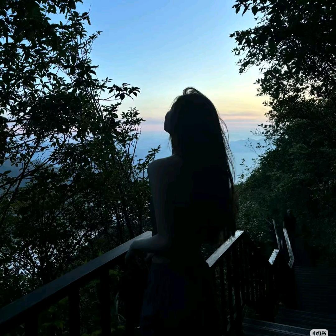 洪世贤小号