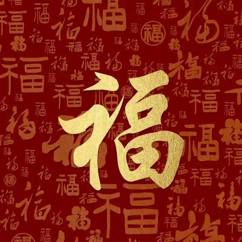 贺五福大舞台报名