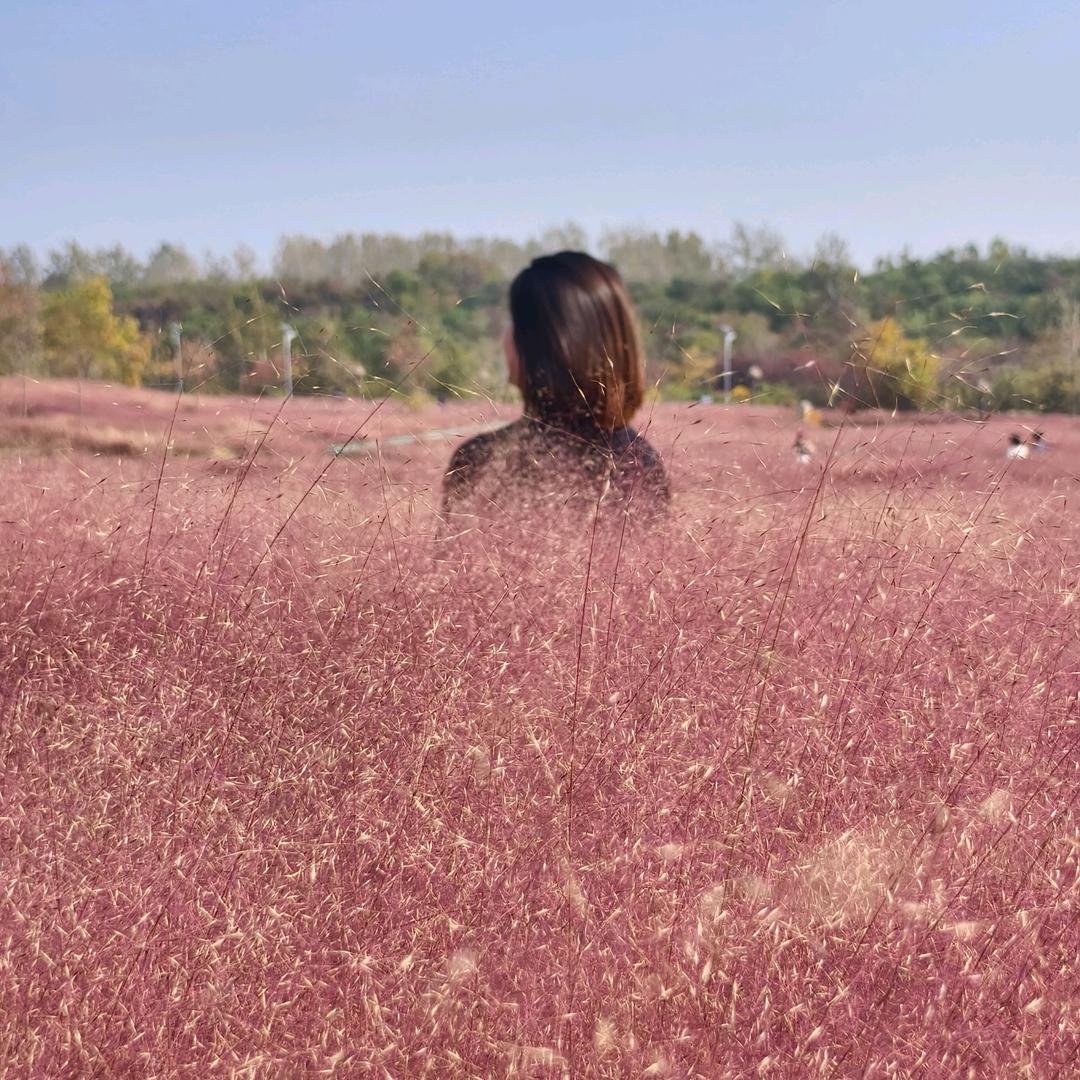 是你娟姐吖🇨🇳