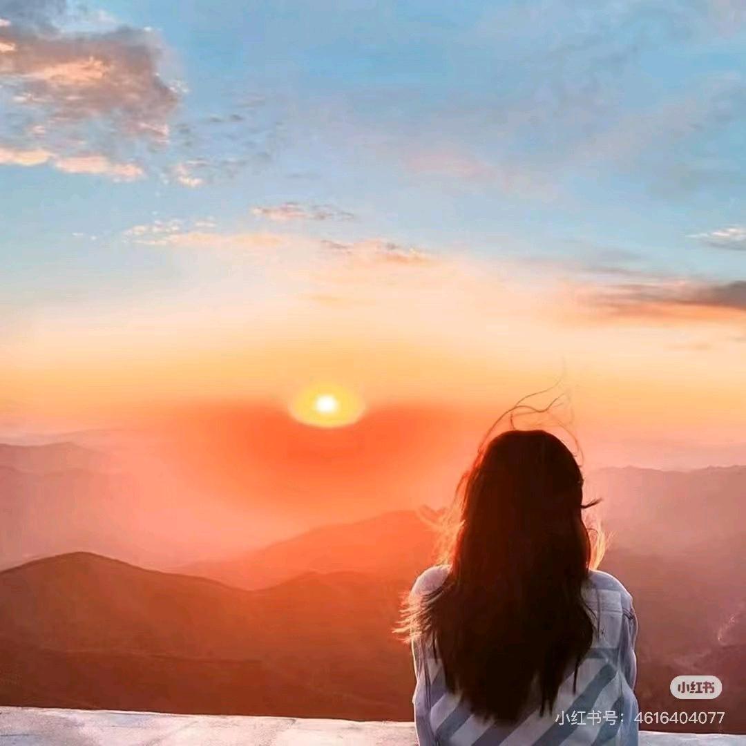 ʚ芝士熊猫🐾(互关互助)