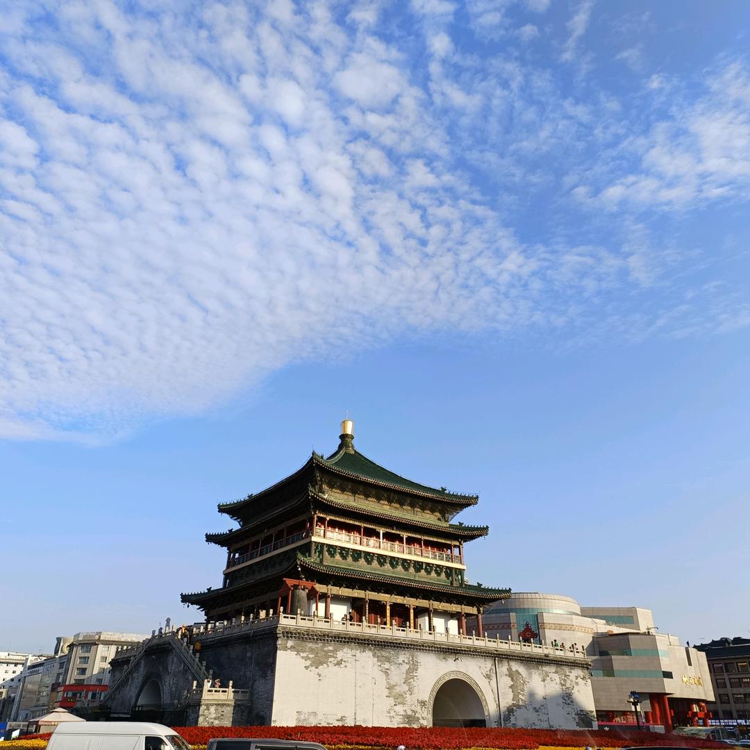 绿洲之梦