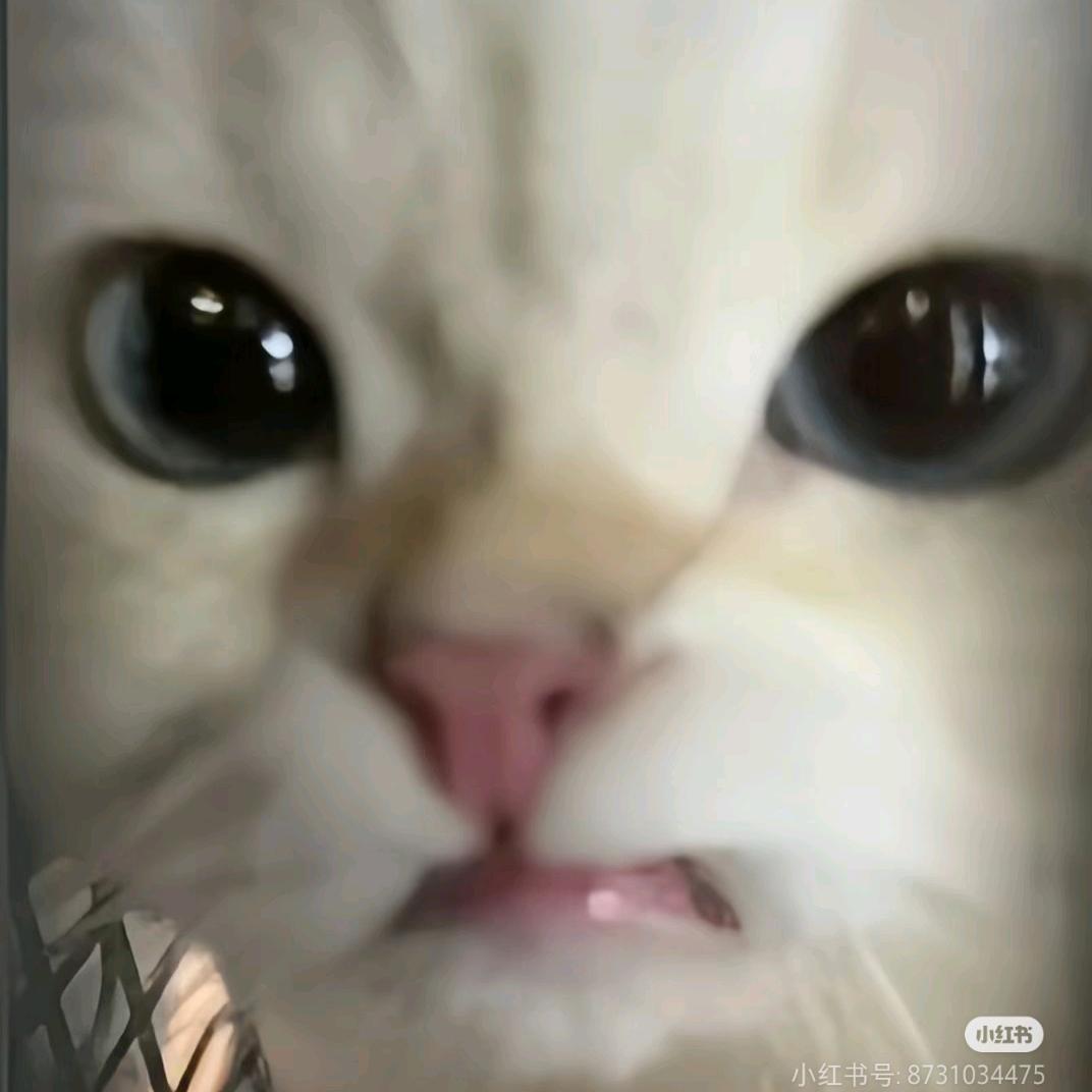 有点噎挺.