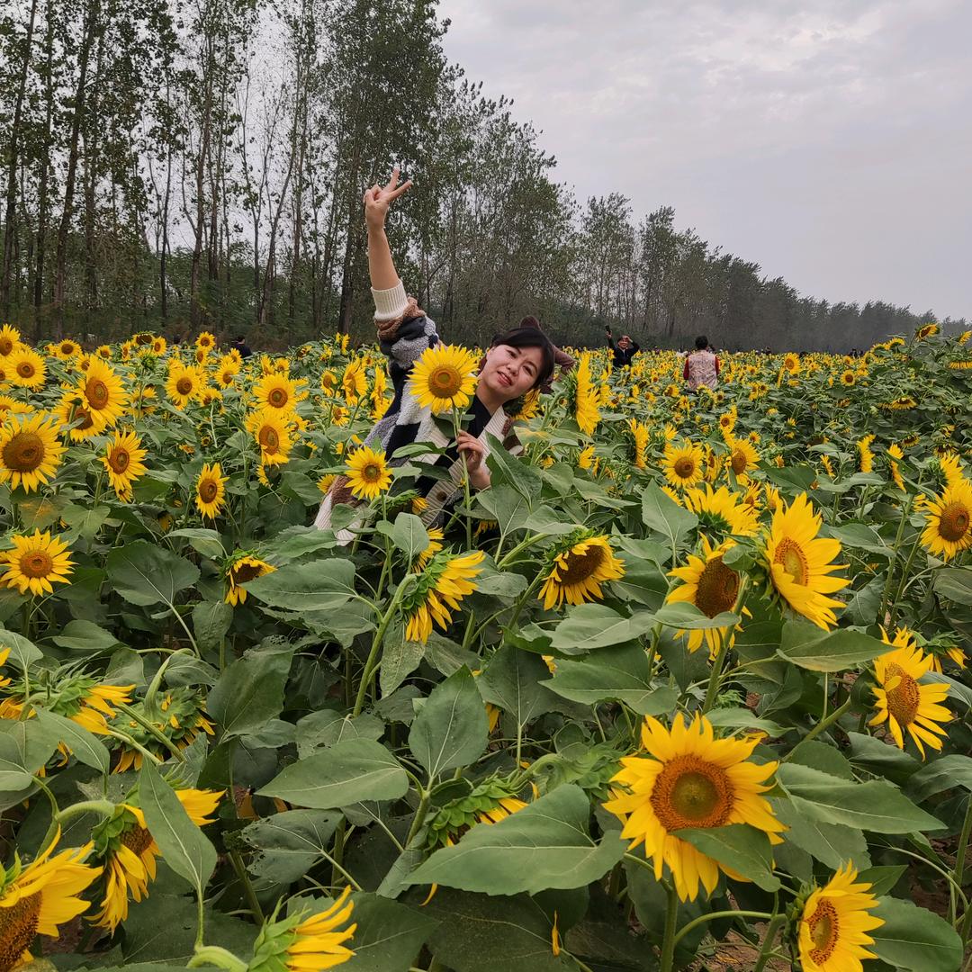 芳***
