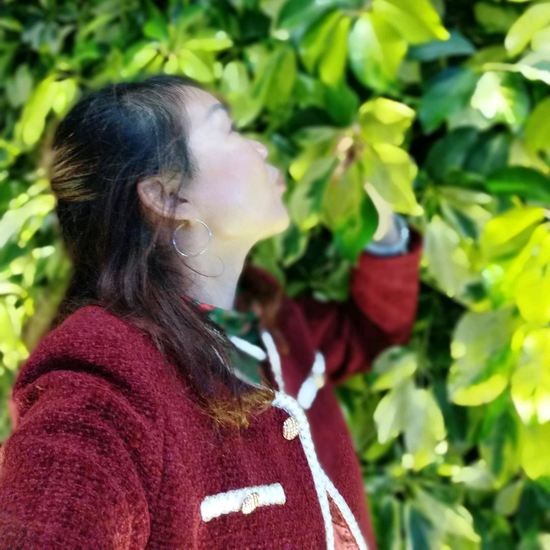 人生如梦💃💃💃