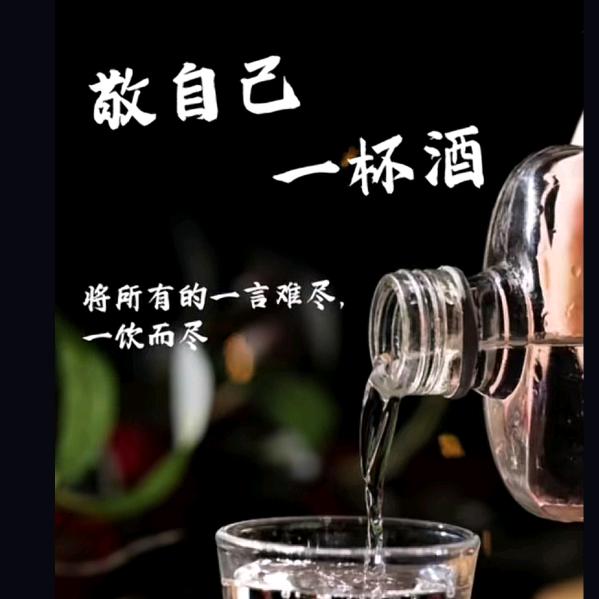 一杯浊酒敬自己