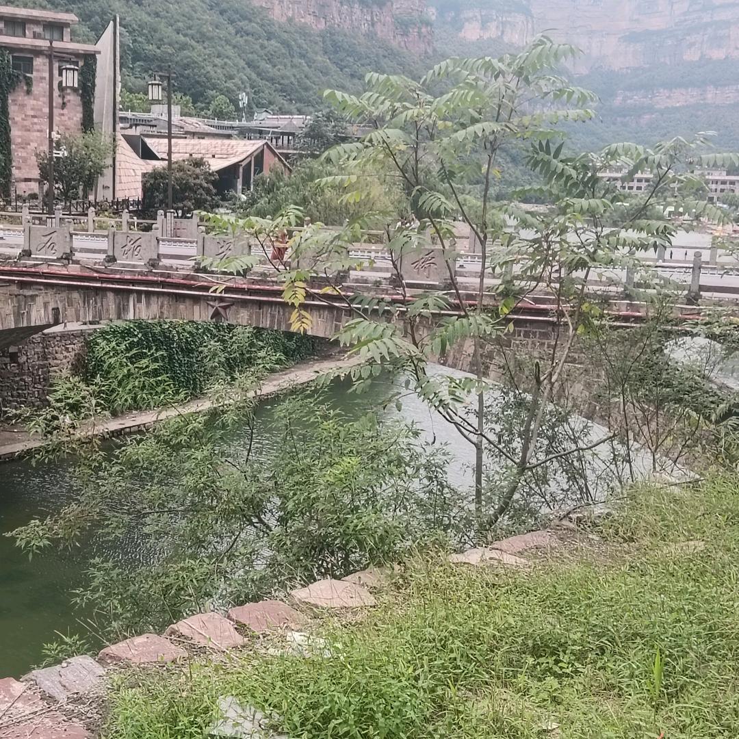 长得君王带笑看