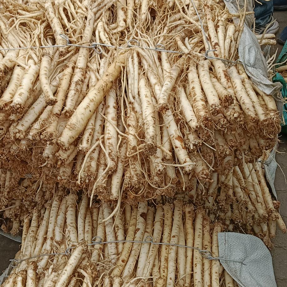 我在等一个有缘人
