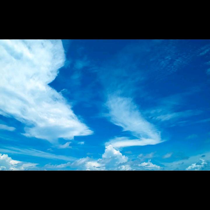 小鱼儿种草分享