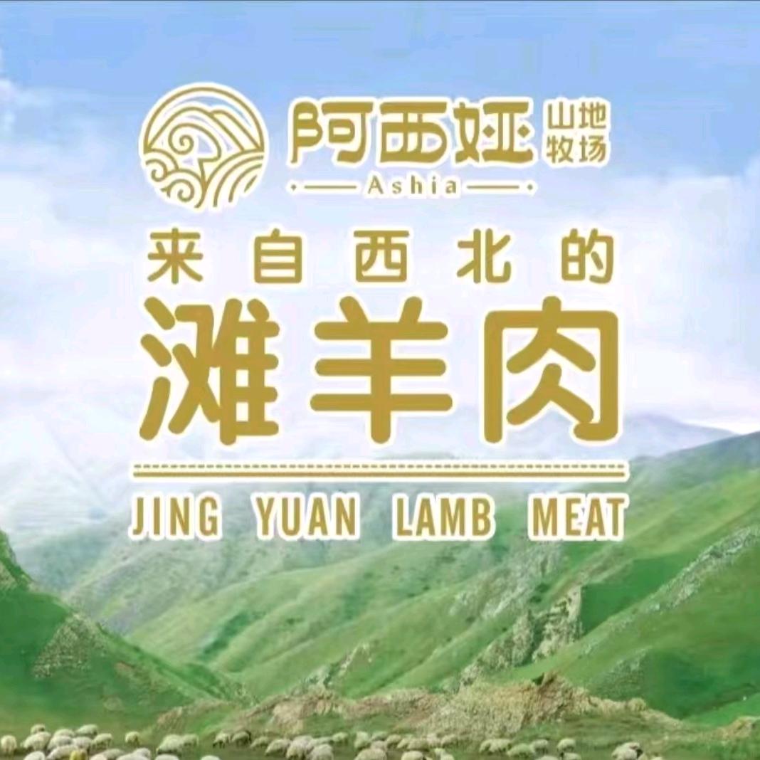 每天亿点点