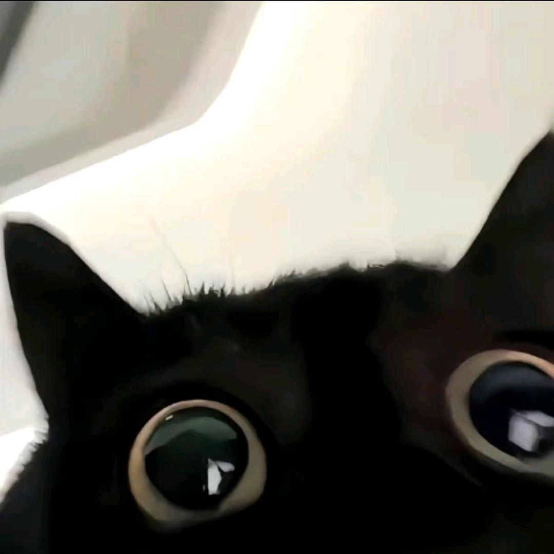 杭子