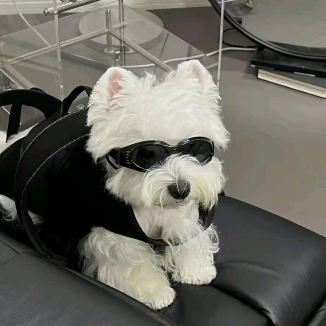 𝓵𝓾𝓬𝓴𝔂༗