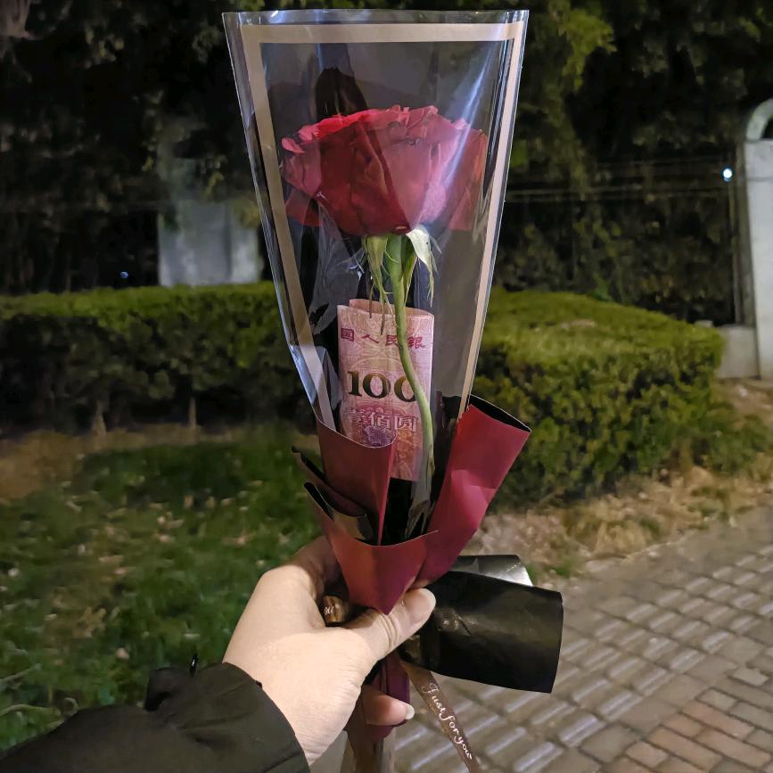 要么飞，要么堕落™