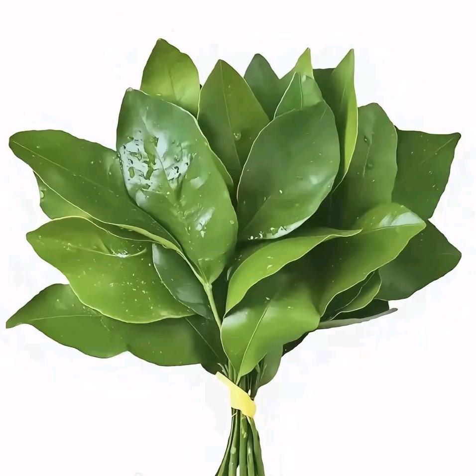 ^小1