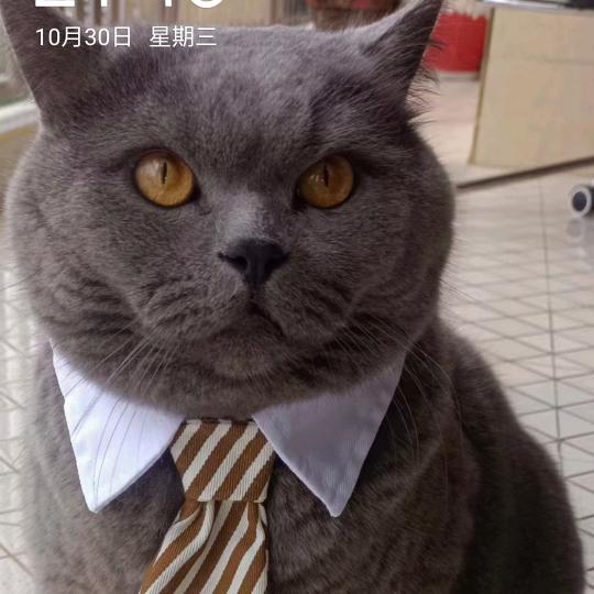 @青宝