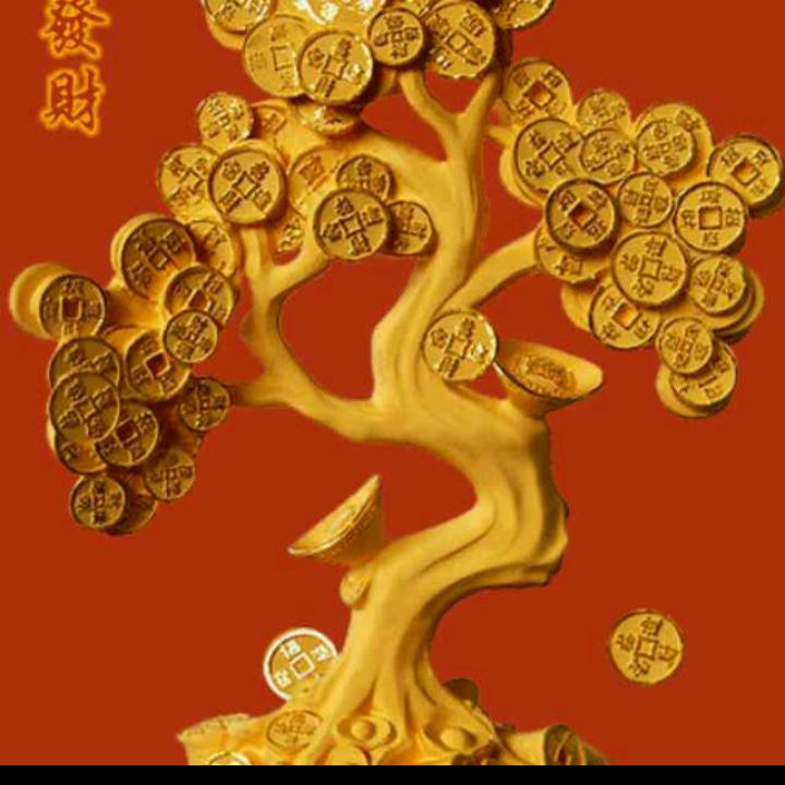 山狼