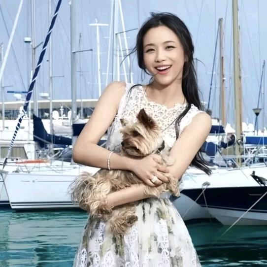 蔬菜丝