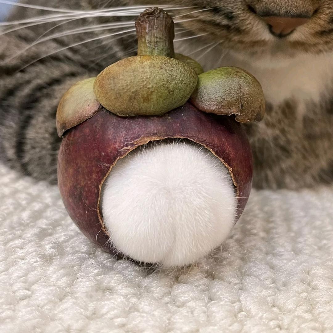 000