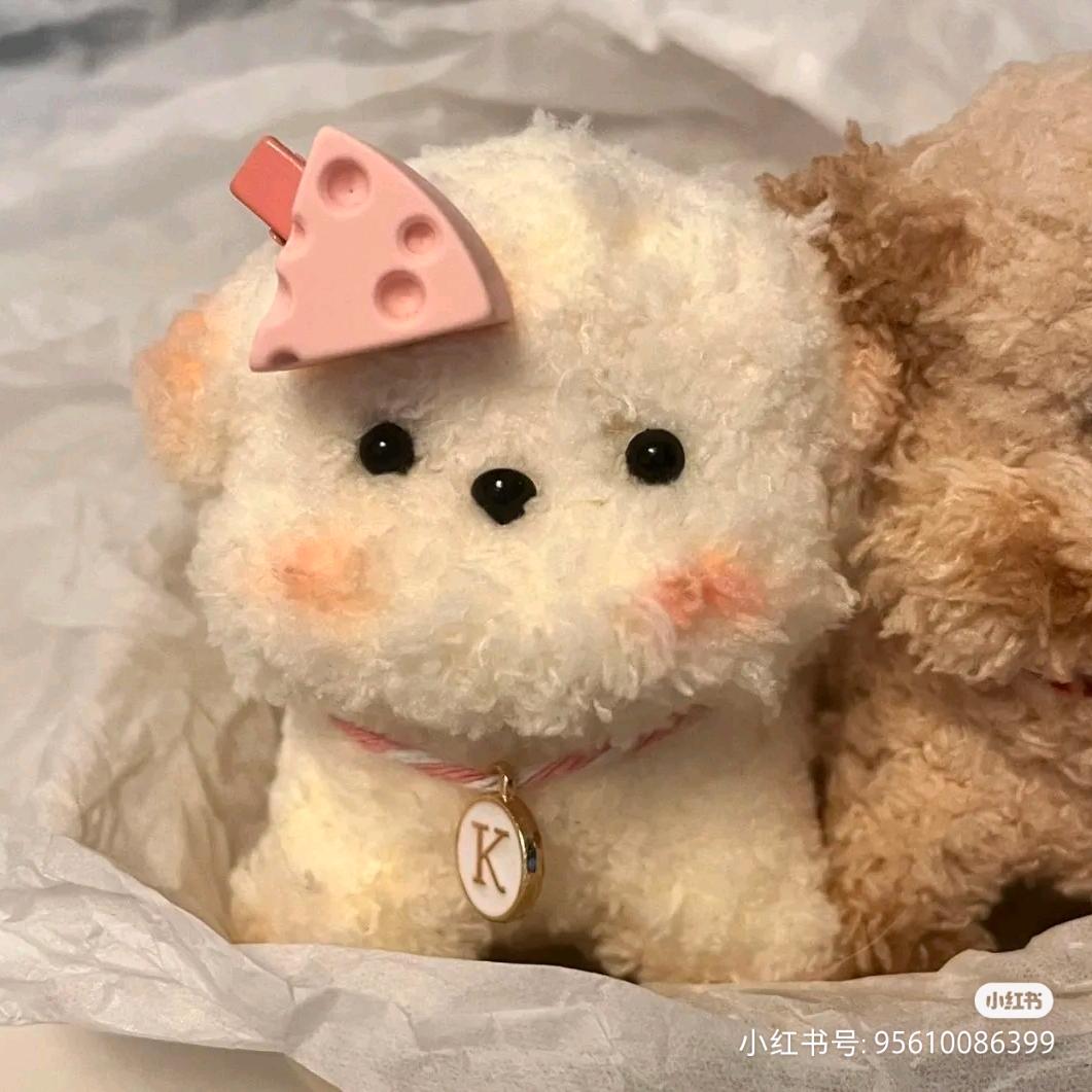 ˗ˋˏ꒰ঌ 念 ໒꒱ྀིˎˊ˗