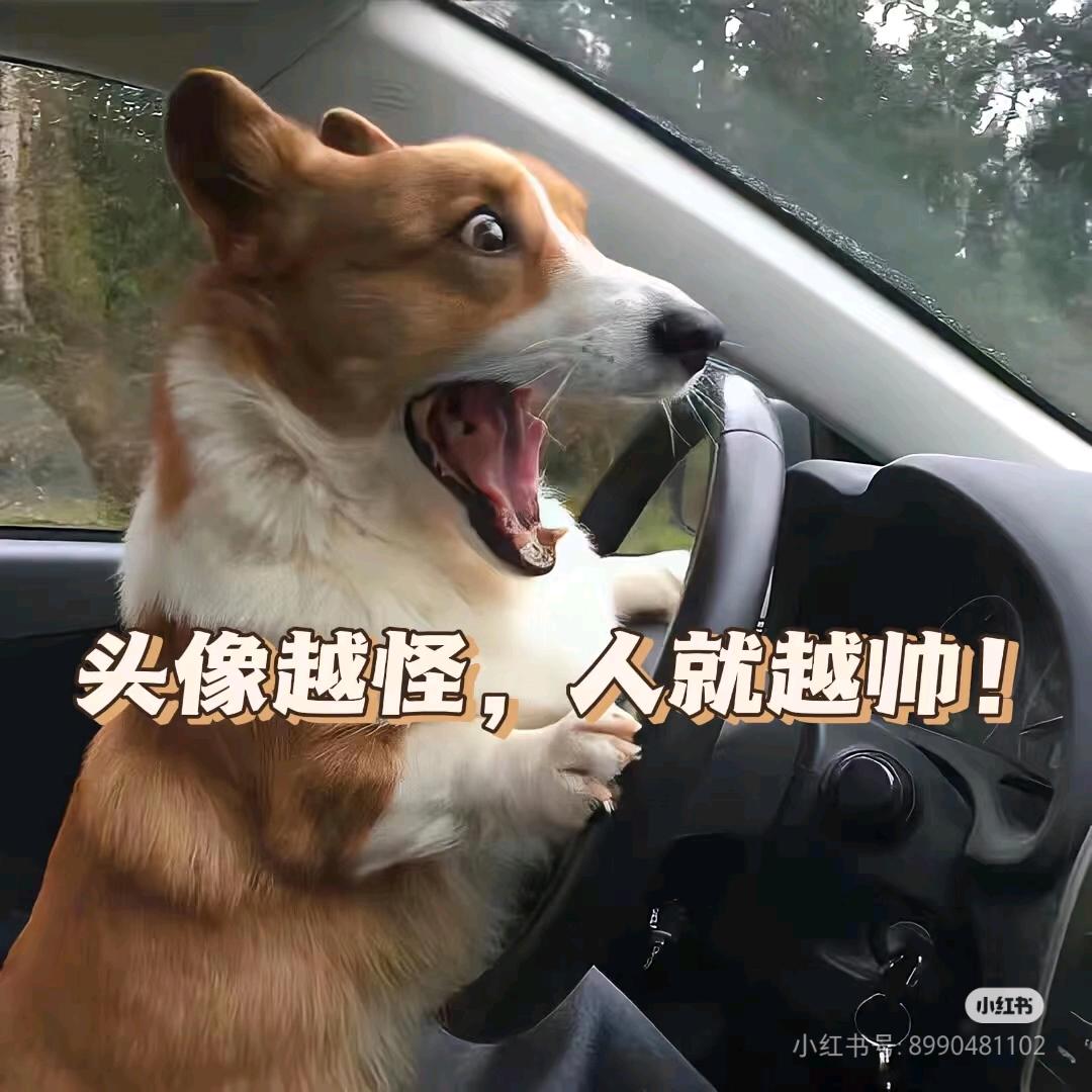 好人