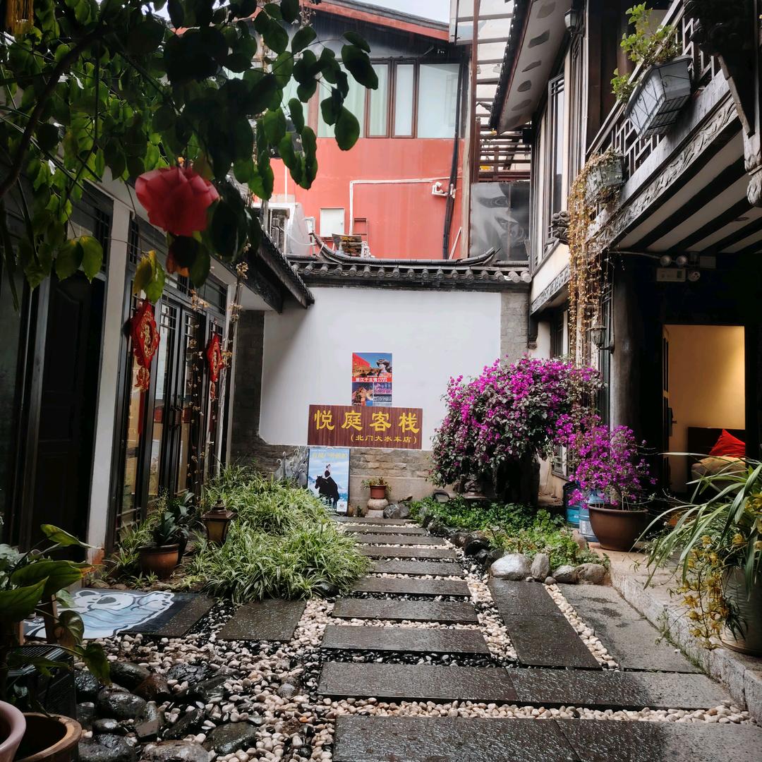 大老虎吃小狸猫