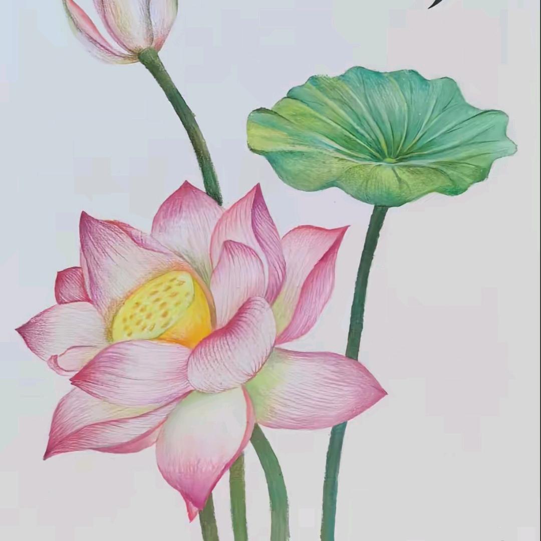 陌上花开壹号