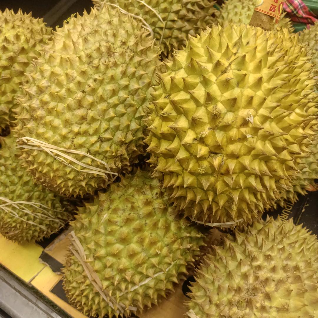 Wei Nan