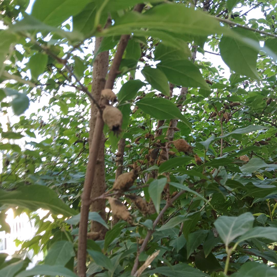删除过去，更新未来