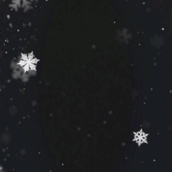 叫  我  雷  爷
