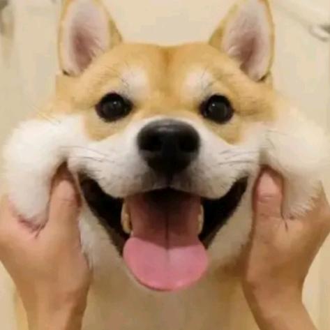 泰难了