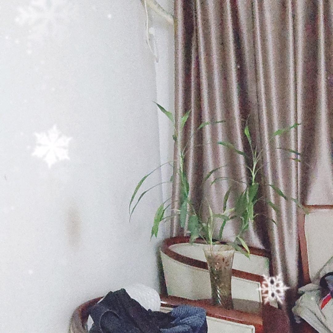 鱼快跑，我来了