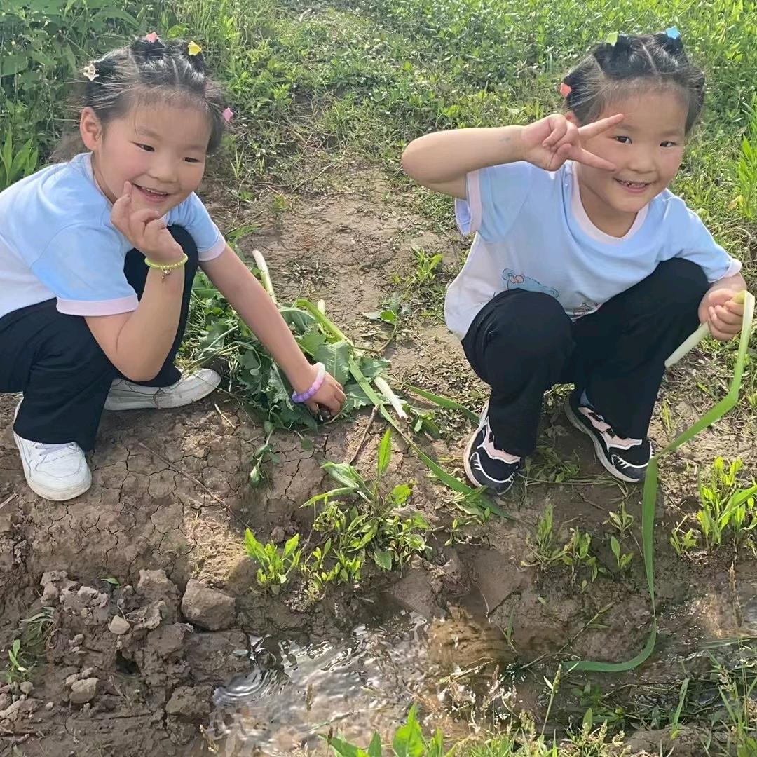 小蒲桥梁桩抗滑桩专业队伍