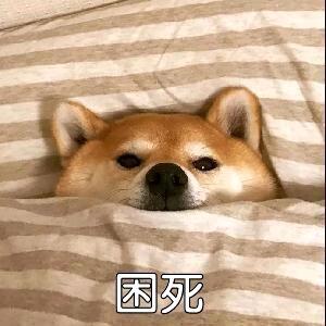 饮料iwei