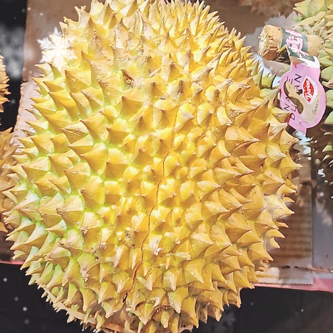 熟果地